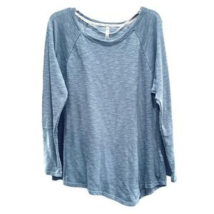 NEW Calvin Klein Performance Sz L Blue Raglan Long Sleeve Asymmetrical Hem